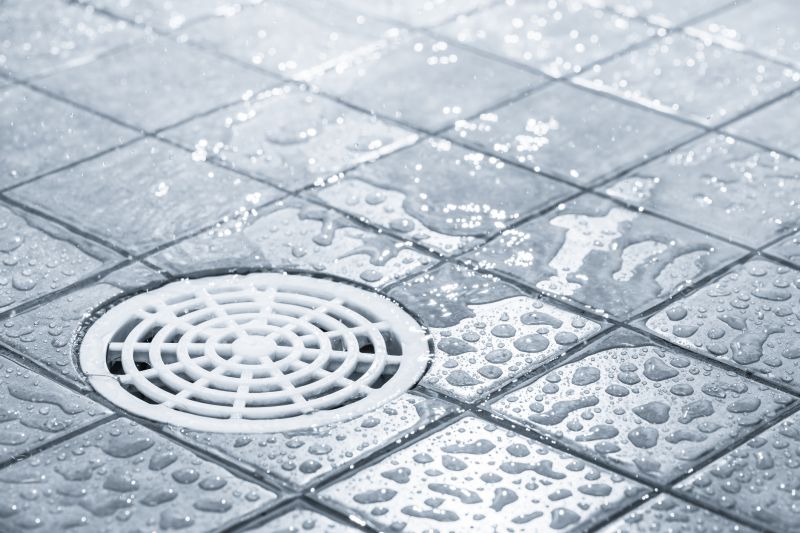 Showerhead Repair in Denver, CO